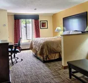 Quality Inn & Suites Greenville near downtown hotel detail image 7