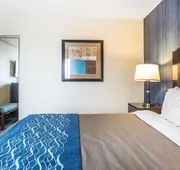 Comfort Inn & Suites hotel detail image 3