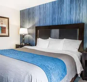 Comfort Inn & Suites hotel detail image 5