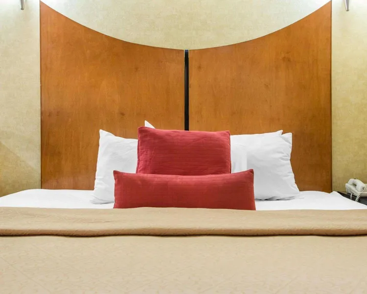 Quality Inn & Suites North/Polaris hotel detail image 6