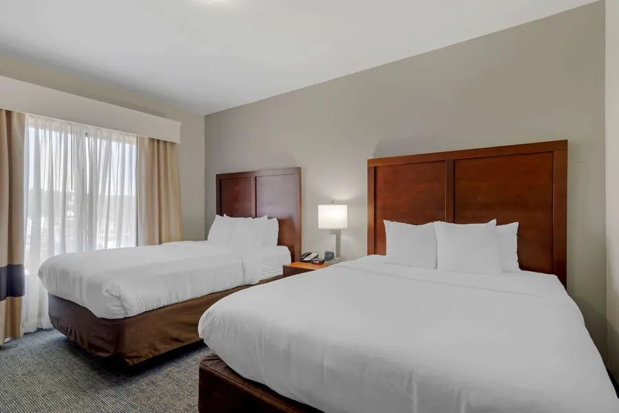 Comfort Suites Stockbridge Atlanta South hotel detail image 6