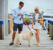 The Cottages at Nantucket Boat Basin hotel detail image 5