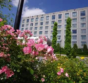 Proximity Hotel hotel detail image 5