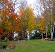Wilson Lake Inn hotel detail image 4