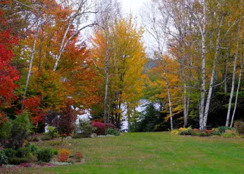Wilson Lake Inn hotel thumbnail 4
