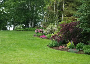 Wilson Lake Inn hotel thumbnail 6