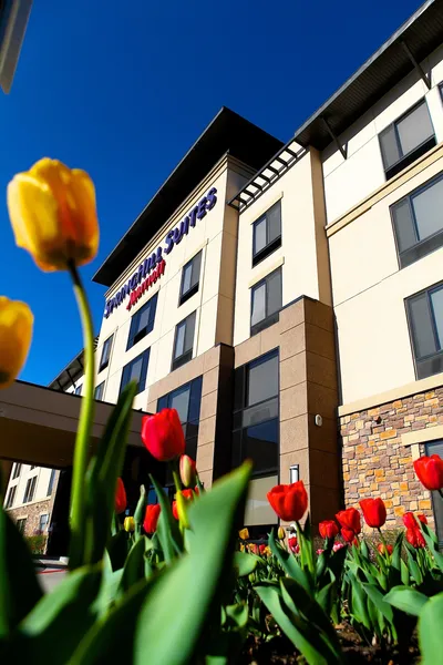 SpringHill Suites by Marriott Logan hotel detail image 2