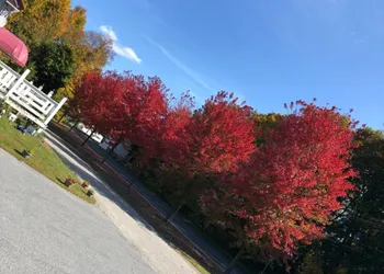 The Autumn Inn hotel thumbnail 5