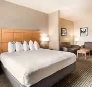 Best Western Shelby Inn & Suites hotel detail image 3