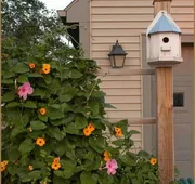 Annville Inn Bed and Breakfast hotel detail image 3