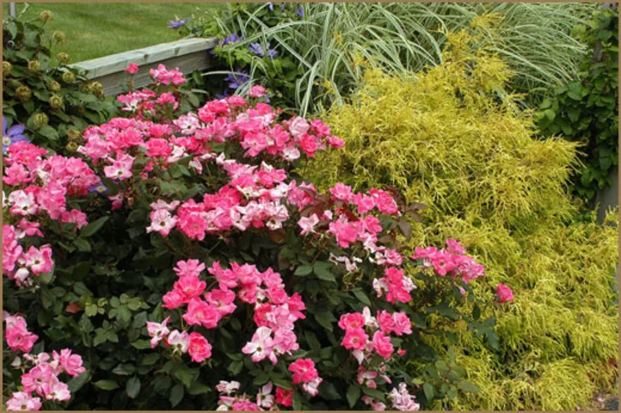 Annville Inn Bed and Breakfast hotel detail image 6