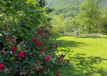 Andon-Reid Inn B&B hotel thumbnail 7