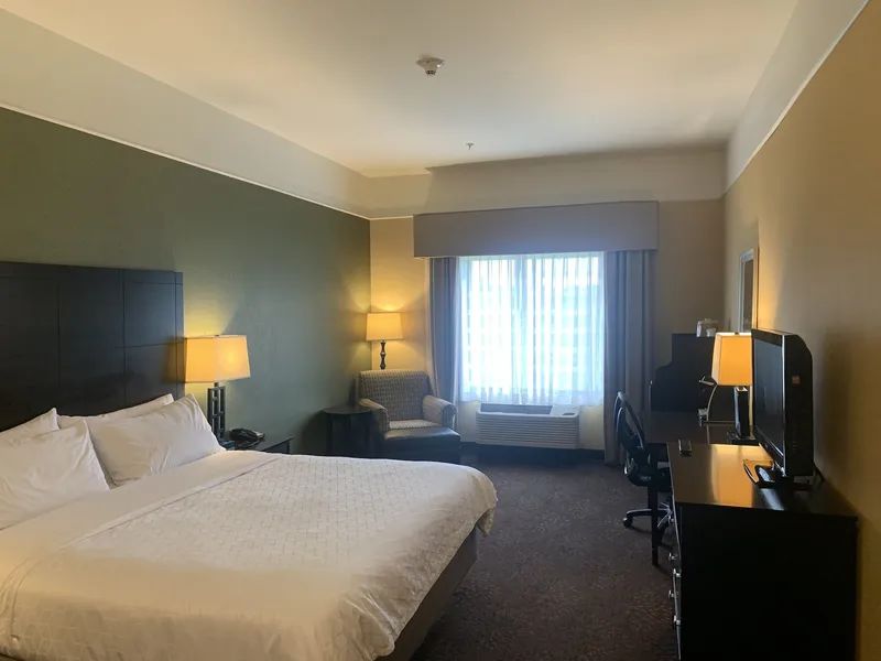 Holiday Inn Express Hotel & Suites Lansing-Dimondale by IHG hotel detail image 6