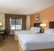 Holiday Inn Express & Suites Lafayette East by IHG hotel detail image 7