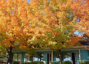 Motel Le Voyageur hotel thumbnail 2