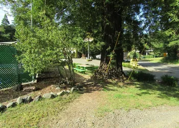 Dean Creek Resort hotel thumbnail 4