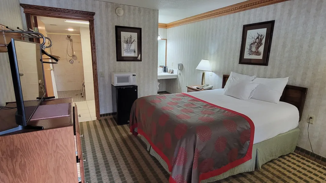 Ramada by Wyndham Saginaw Hotel & Suites hotel detail image 6