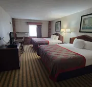 Ramada by Wyndham Saginaw Hotel & Suites hotel detail image 7