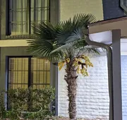Knights Inn - Lithonia hotel detail image 7