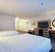 Hampton Inn & Suites Mountain Home hotel detail image 4