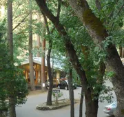 Yosemite Bug Rustic Mountain Resort hotel detail image 4