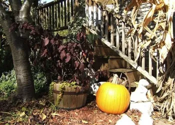Boyden House Inn B&B hotel thumbnail 4
