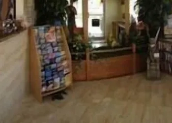 Sand Castle Motel hotel thumbnail 3