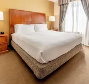 Hilton Garden Inn Houston/The Woodlands hotel detail image 7