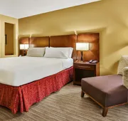 Holiday Inn Express & Suites Houston South near Pearland by IHG hotel detail image 5