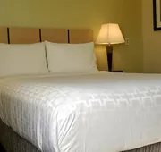 Candlewood Suites Houston Medical Center by IHG hotel detail image 7