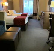 Comfort Suites Bush Intercontinental Airport hotel detail image 7