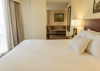 Hilton Houston Galleria Area hotel thumbnail 3