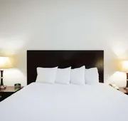 Best Western Sugarland Inn hotel detail image 5
