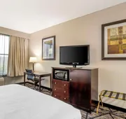 Best Western Plus Hobby Airport Inn & Suites hotel detail image 5