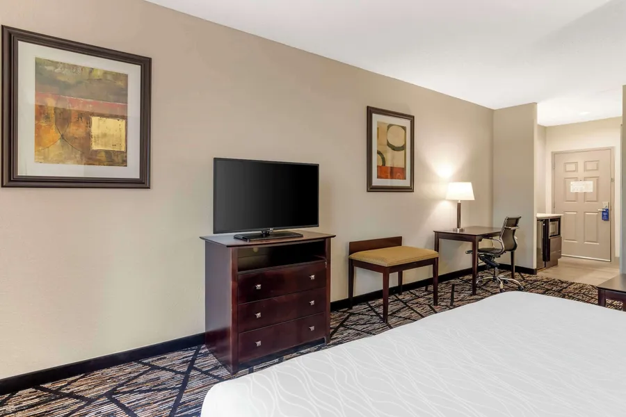 Best Western Plus Hobby Airport Inn & Suites hotel detail image 6