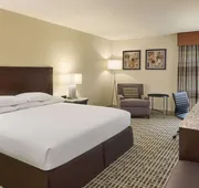 DoubleTree by Hilton Houston Intercontinental Airport hotel detail image 5