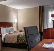 Quality Inn & Suites near St. Louis and I-255 hotel detail image 5