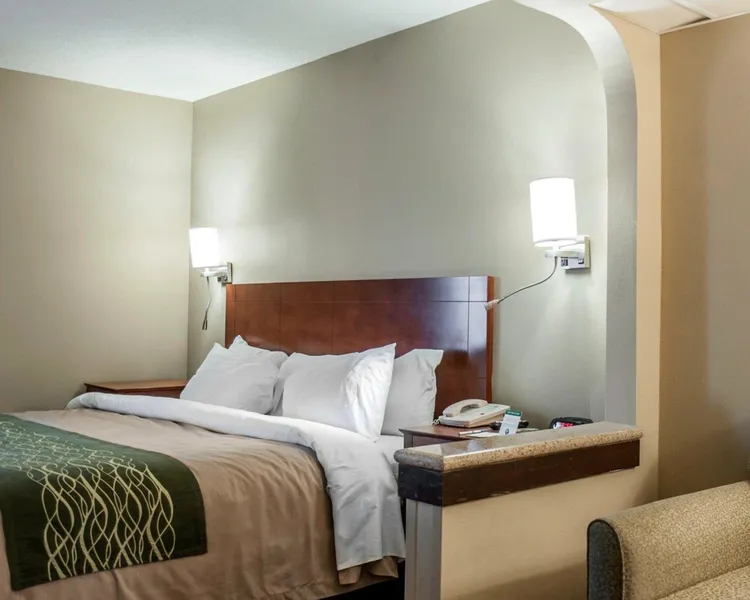 Quality Inn & Suites near St. Louis and I-255 hotel detail image 6