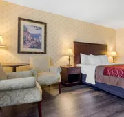 Comfort Inn & Suites Levis / Rive Sud Quebec city hotel detail image 7