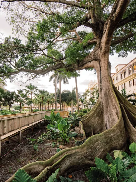 Cloister at The Boca Raton hotel detail image 6