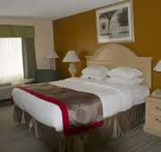 Space Coast Hotel hotel detail image 4