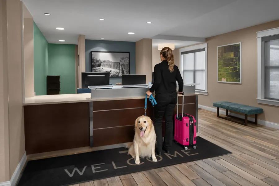 Residence Inn Boston Dedham hotel detail image 6