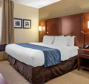 Comfort Inn Warren - Detroit North hotel detail image 5