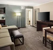 Embassy Suites by Hilton Tysons Corner hotel detail image 4