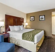 Comfort Inn College Park North hotel detail image 7