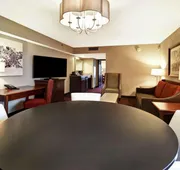 Embassy Suites by Hilton Dulles Airport hotel detail image 7