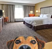 Hampton Inn by Hilton Concord/Kannapolis hotel detail image 7