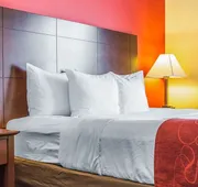 Comfort Suites Rock Hill Manchester Meadows Area hotel detail image 7