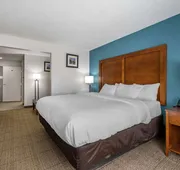 Comfort Inn Plainfield - Indianapolis Airport hotel detail image 4