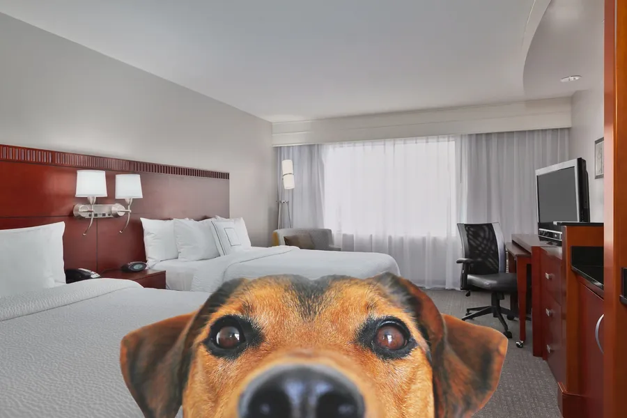 Courtyard by Marriott Corpus Christi hotel detail image 6